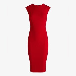 EXPRESS Professional Dress 💃